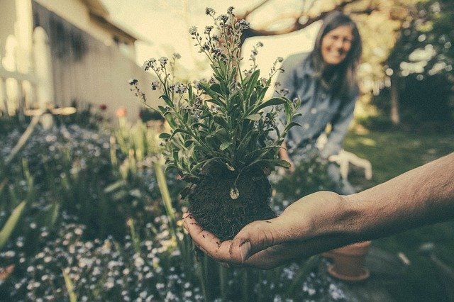 Comment faire de son balcon un potager sans se prendre le chou ?
